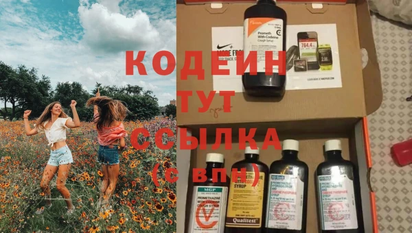 прущие крисы Абаза