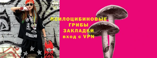 прущие крисы Абаза