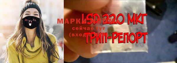 прущие крисы Абаза