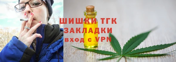 шишки Алзамай