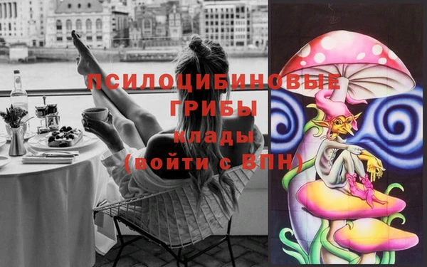 прущие крисы Абаза