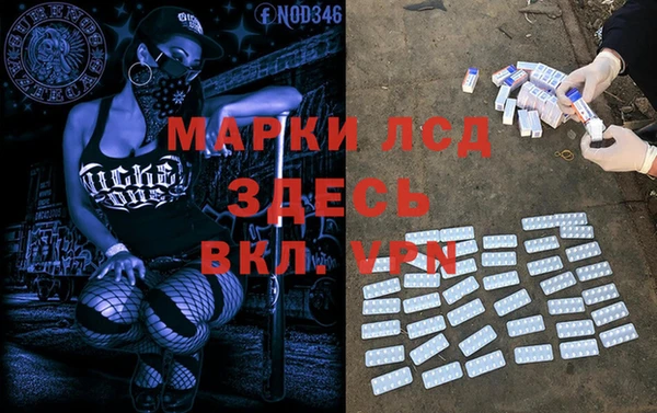 шишки Алзамай