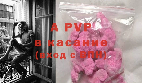 прущие крисы Абаза