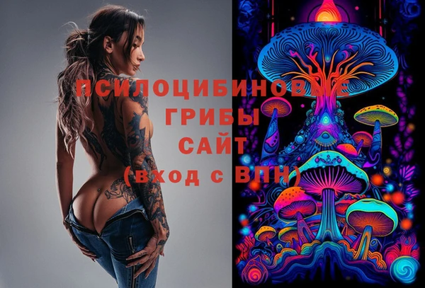 дживик Алексин