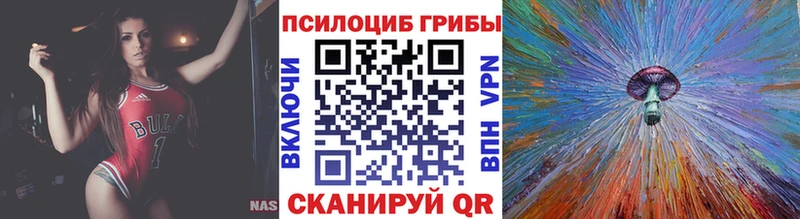 цена наркотик  Нолинск  Галлюциногенные грибы GOLDEN TEACHER 